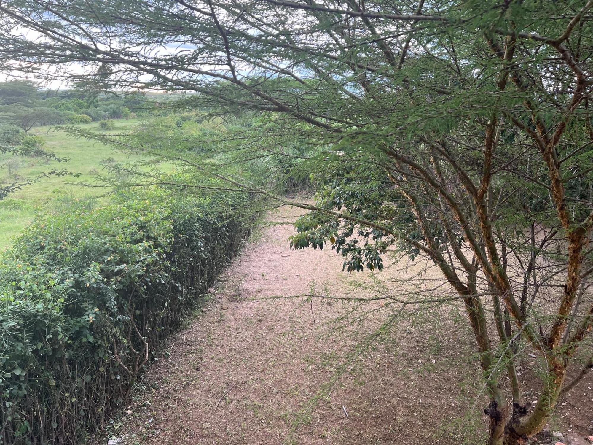 马赛马拉Olaloi Mara Camp别墅 外观 照片